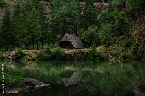 house in the woods - Haus im Wald