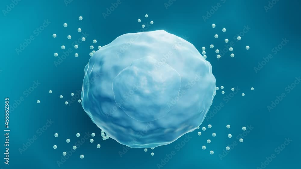 Mast cell releasing histamine, Immune system cell during allergic response