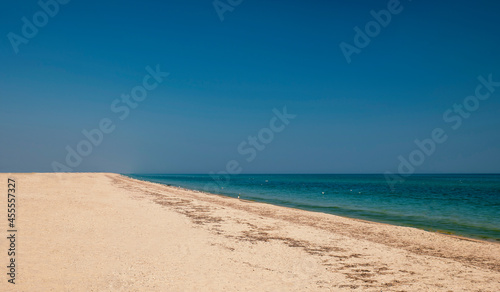 Beach near the black blue sea. Beautiful landscape  summer and heat  a lot of sand  birds near the water