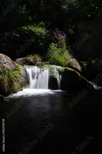 A little waterfall hidden in the wood. 
