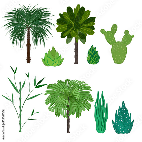 A set of isolated tropical and desert plants. Palm trees, bamboo, cactus, agave, succulents