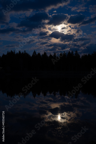 Wald und teich bei Mondschein © Martin