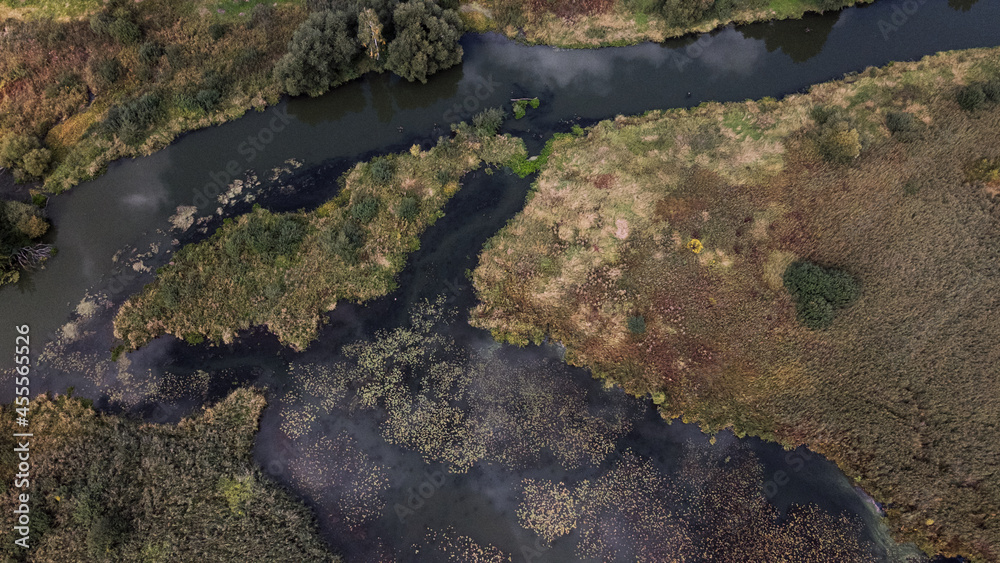 Park area. A winding river with water lilies. Swampy area. Aerial photography.