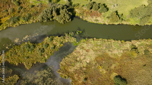 Park area. A winding river with water lilies. Swampy area. Aerial photography.