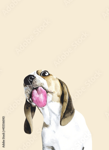 Beagle dog pedigree pup showing tongue on beige, watercolor illustration. Friendly hound, pedigreed purebred puppy. Drawing of cute doggie. Holiday card with pet.