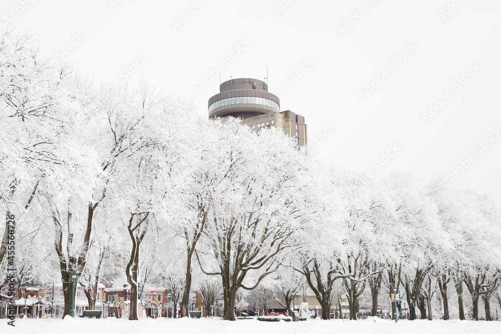 Fototapeta premium Plain of Abraham in winter in Quebec City