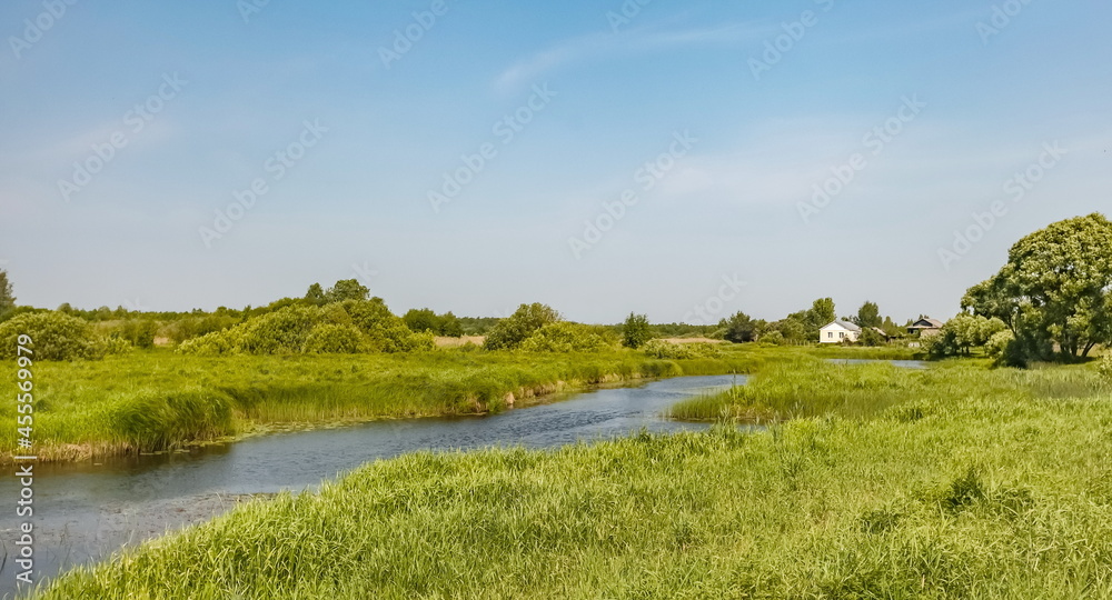 Landscape with river, house, trees, bushes and grass against blue sky in summer