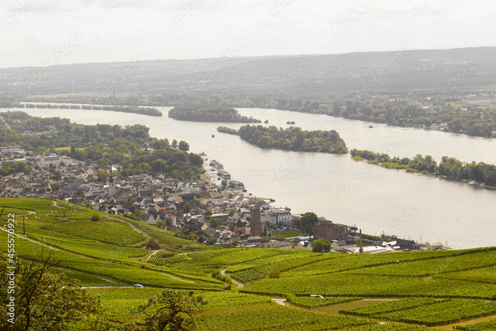 Schöner Blick auf Rüdesheim und die Rüdesheimer Auen, Rheinauen auf dem Fluss Rhein im Rheingau