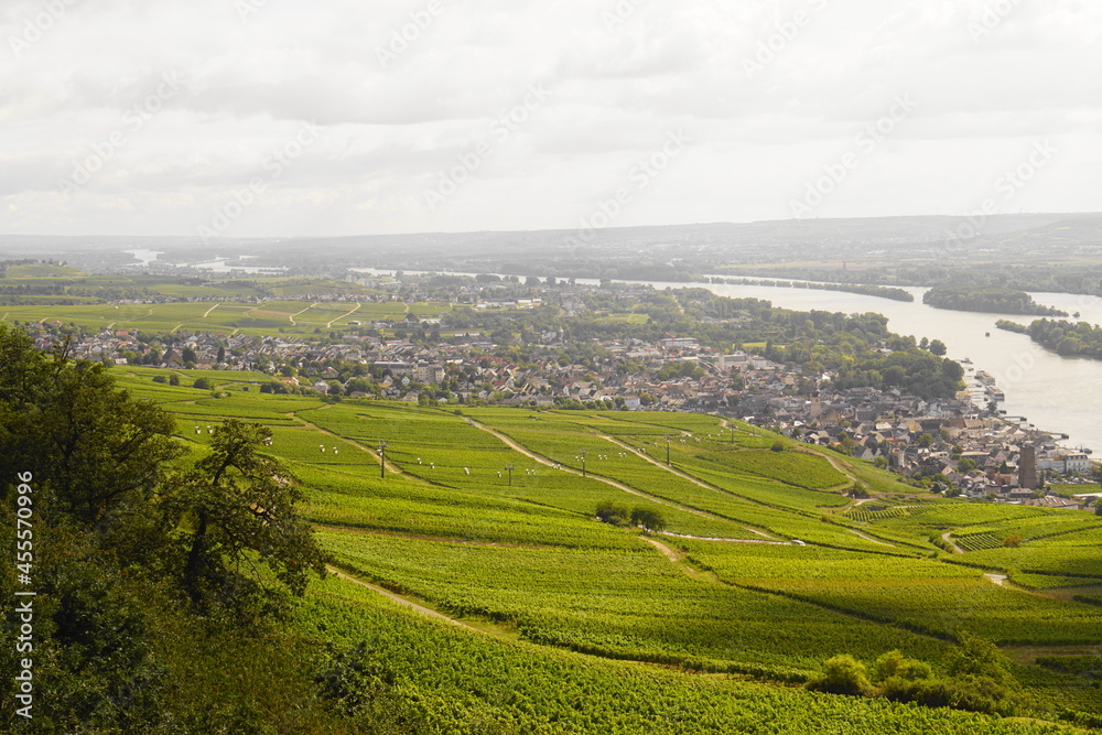 Blick auf Rüdesheim vom Niederwalddenkmal aus und ein Blick auf die Weinreben im Rheingau am Rheinsteig