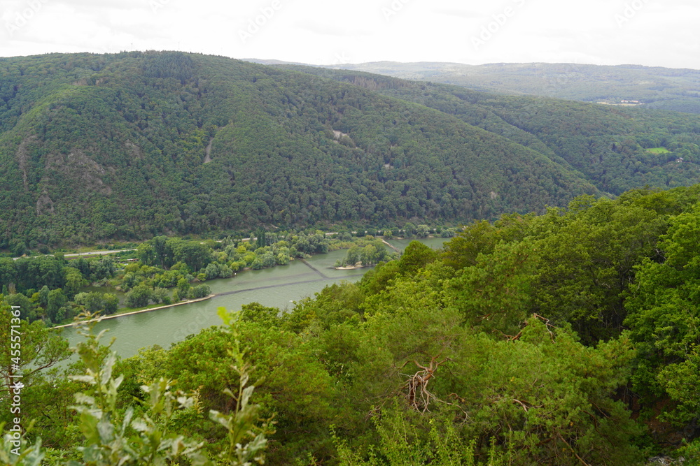 Der Rhein oberhalb von Assmannshausen im Mittelrheintal im Rheingau in Hessen