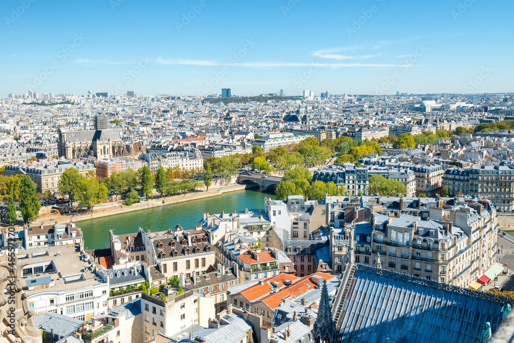 Paris cityscape with  aerial architecture, roofs and city view