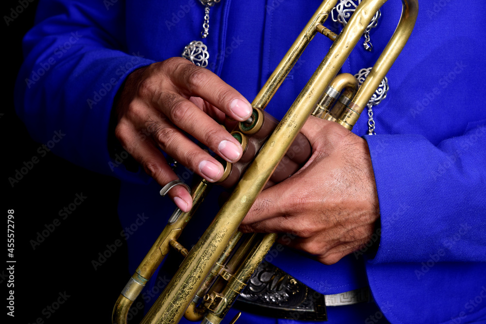 Obraz premium musician