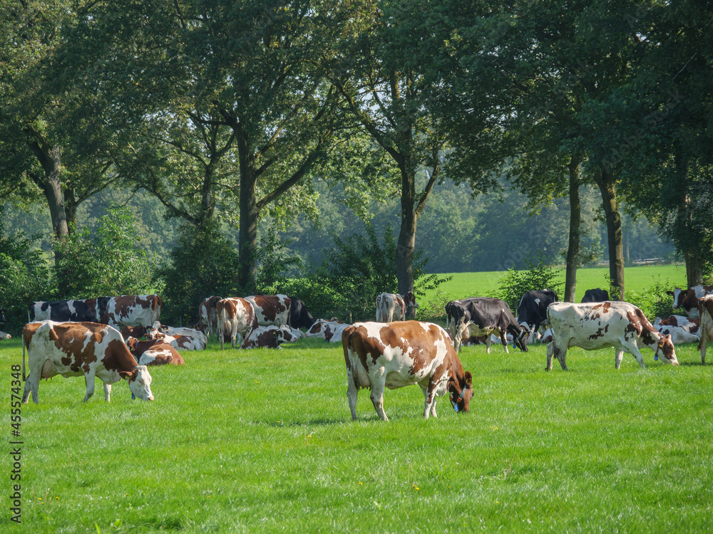 Die Provinz Gelderland in den Niederlanden Die Provinz Gelderland in den Niederlanden