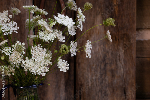 An arrangement of queen Anne's lace wildflowers against a wooden background