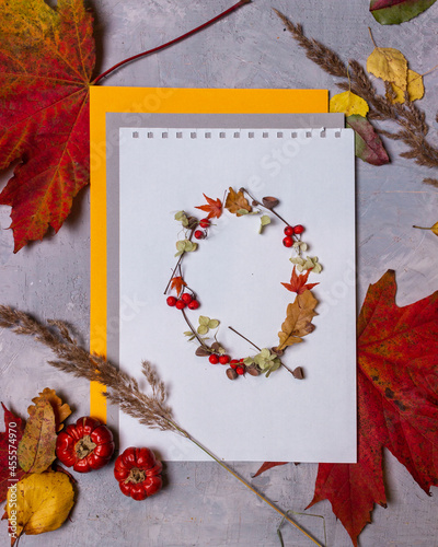 Latin alphabet letters from autumn leaves on a white background