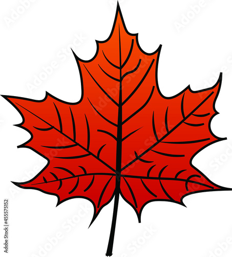 Maple Leaf vector colour autumn