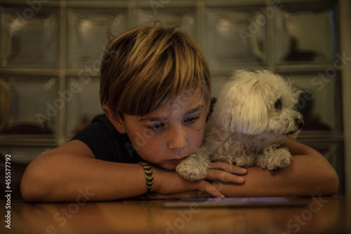 Boy hugging bichon dog photo