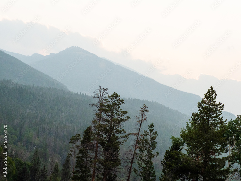 Nature landscape with pine trees in the foreground of the Rocky Mountains. Blue geometric rolling hills.