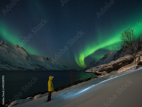 Man looking at aurora borealis sky photo