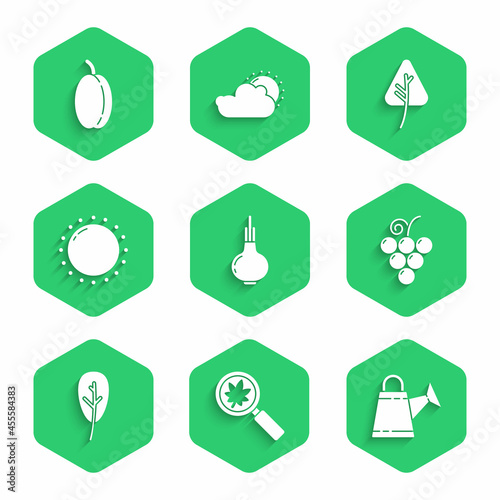 Set Onion, Magnifying glass with leaf, Watering can, Grape fruit, Leaf or leaves, Sun, and Plum icon. Vector