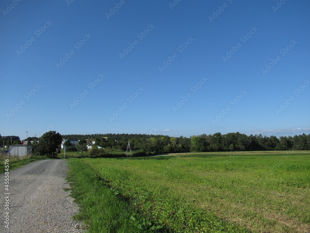 Obraz premium Weg an einem Feld