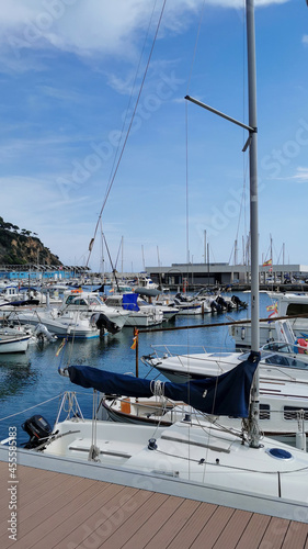 boats in marina