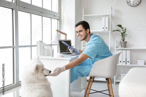 Veterinarian examining cute...