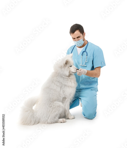 Veterinarian with cute dog ...
