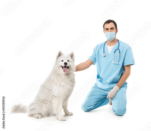 Veterinarian with cute dog ...