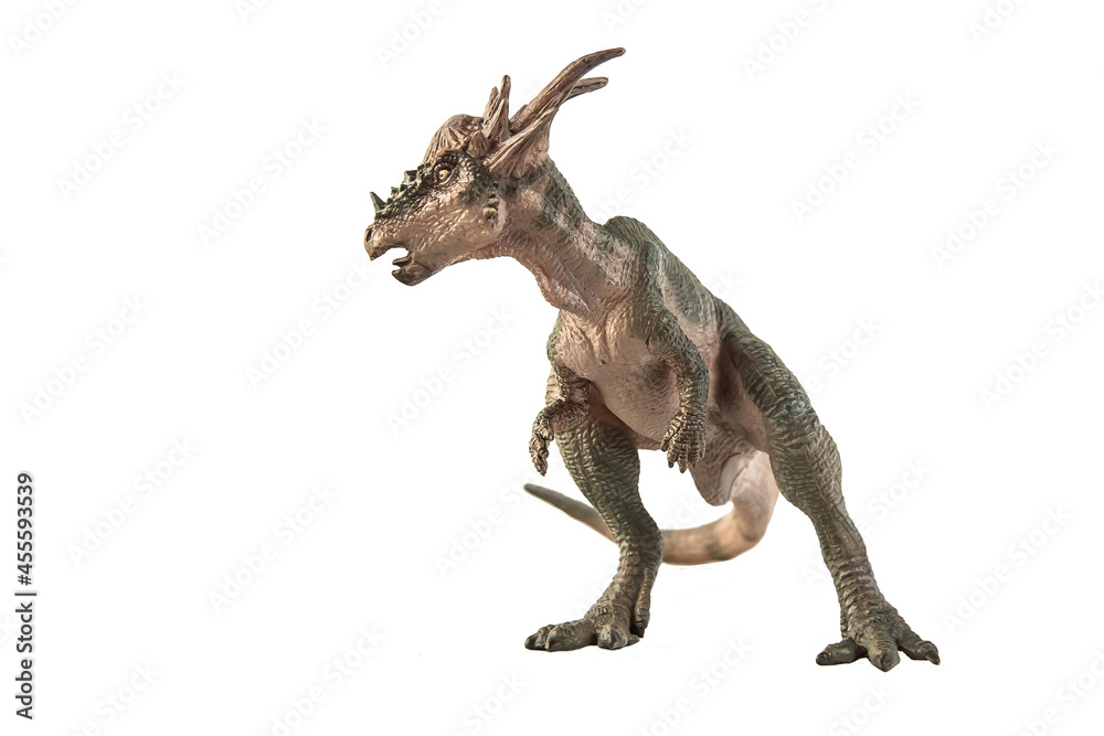 Fototapeta premium Stygimoloch Dinosaur on white background