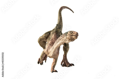 Chilesaurus Dinosaur on white background