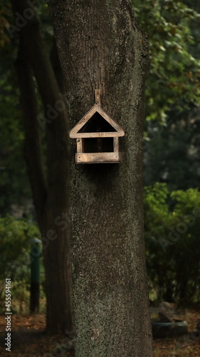 beautiful birdhouse