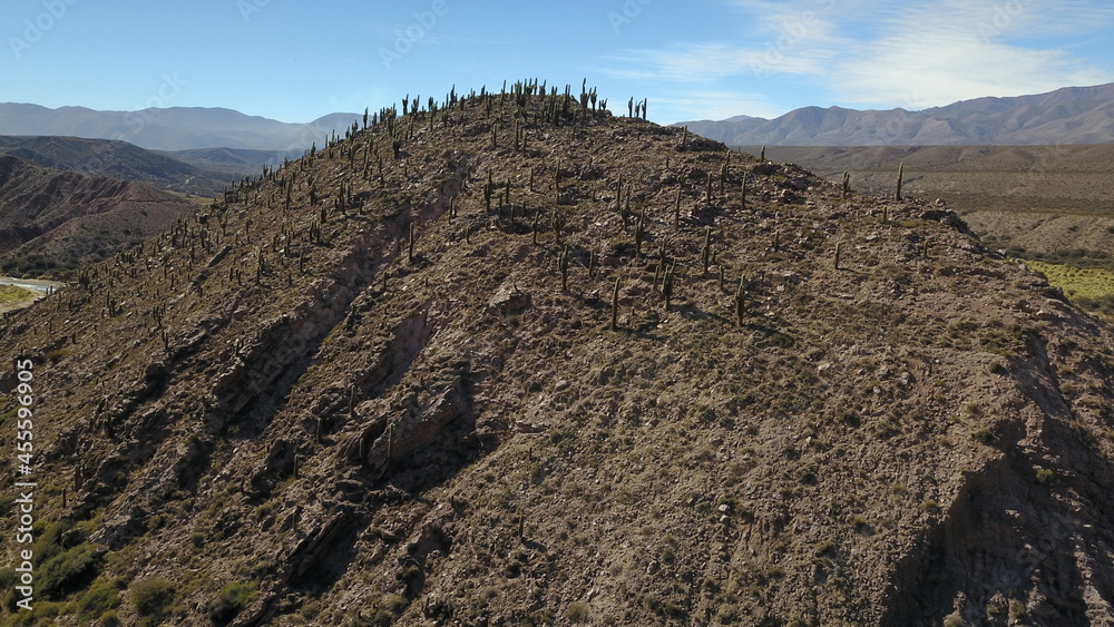 Desert Landscape in northern Argentina