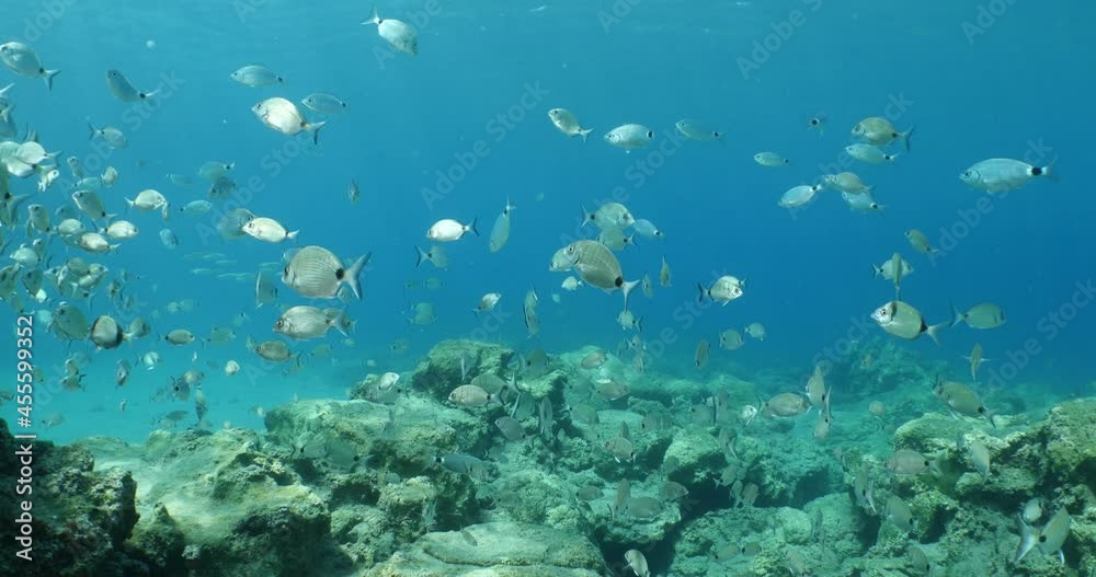 sun ray and sun beam scenery underwater waves on surface of water slow ocean scenery
