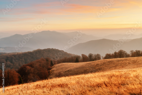 Picturesque autumn mountains with red beech forest in the Carpathian mountains, Ukraine. Landscape photography