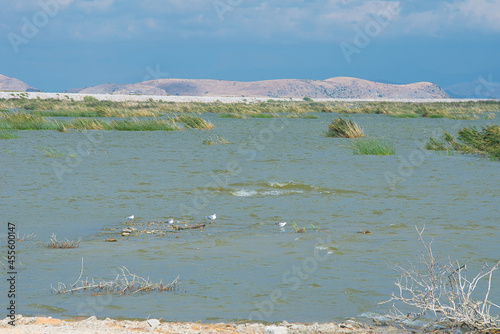 Karla lake , Magnessia - Volos, Thessaly, Greece. photo