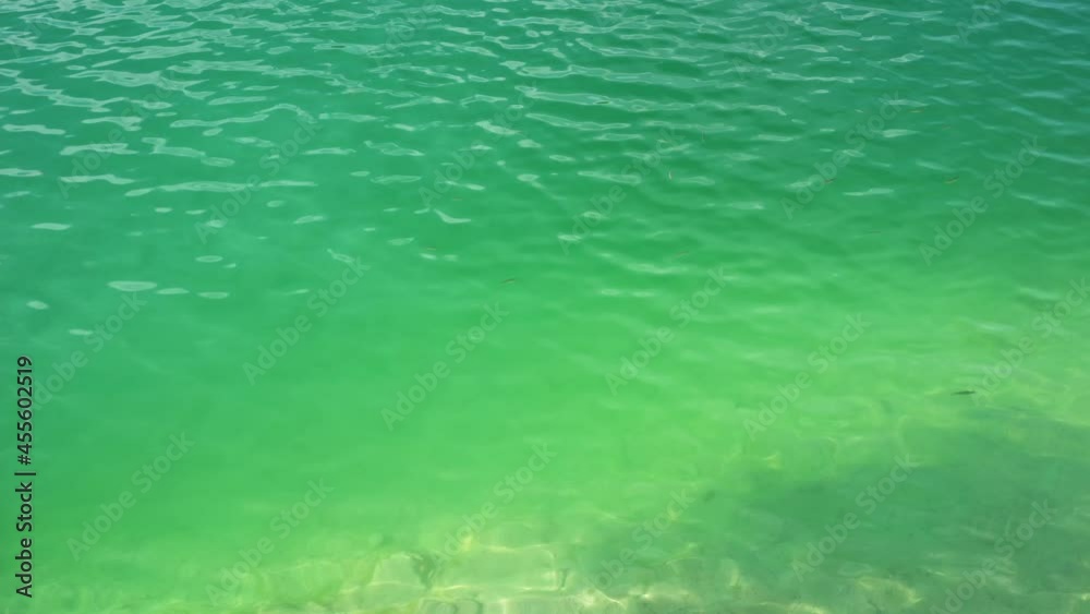 Water background with floating fish, aquamarine water with small waves, turquoise water surface Water background with floating fish, aquamarine water with small waves, turquoise water surface