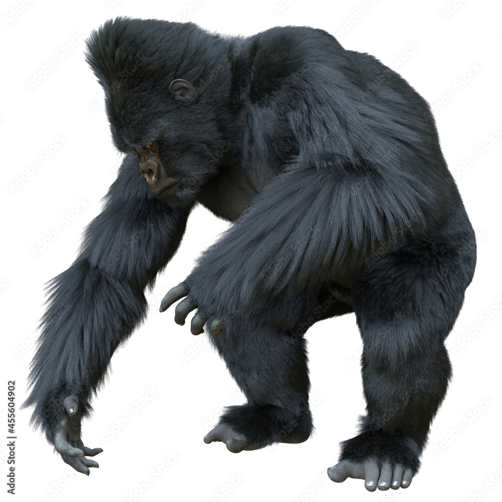 Fototapeta premium Black silver gorilla 3d illustration isolated on white