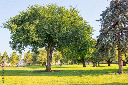 A scene from a city park photo