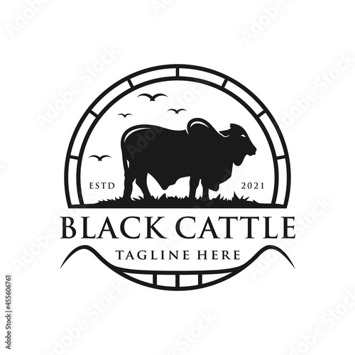Fotografija vintage logo brahman cattle farm inspiration illustration