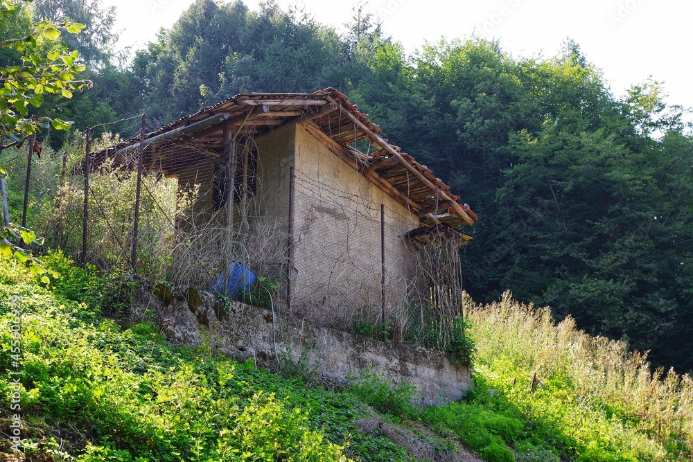 alte verlassene Hütte im Wald alte verlassene Hütte im Wald