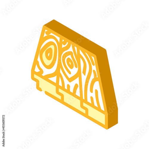 patterned flooring isometric icon vector. patterned flooring sign. isolated symbol illustration