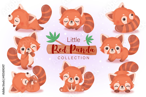Cute little red panda collection in watercolor illustration for decoration