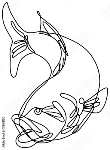 Continuous line drawing illustration of a bucketmouth bass or largemouth jumping down done in mono line or doodle style in black and white on isolated background.  photo