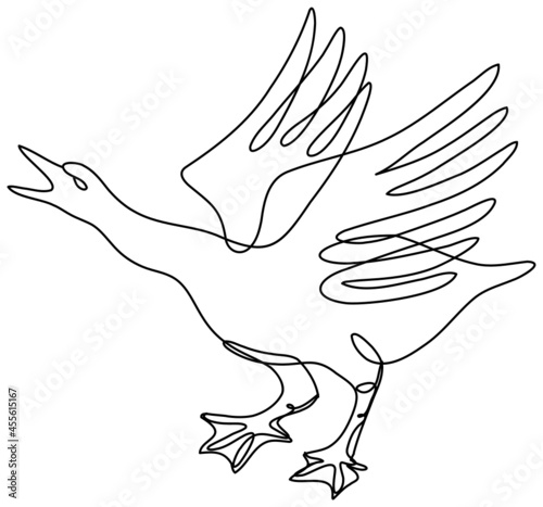 Continuous line drawing illustration of an angry goose about to attack done in mono line or doodle style in black and white on isolated background. 
