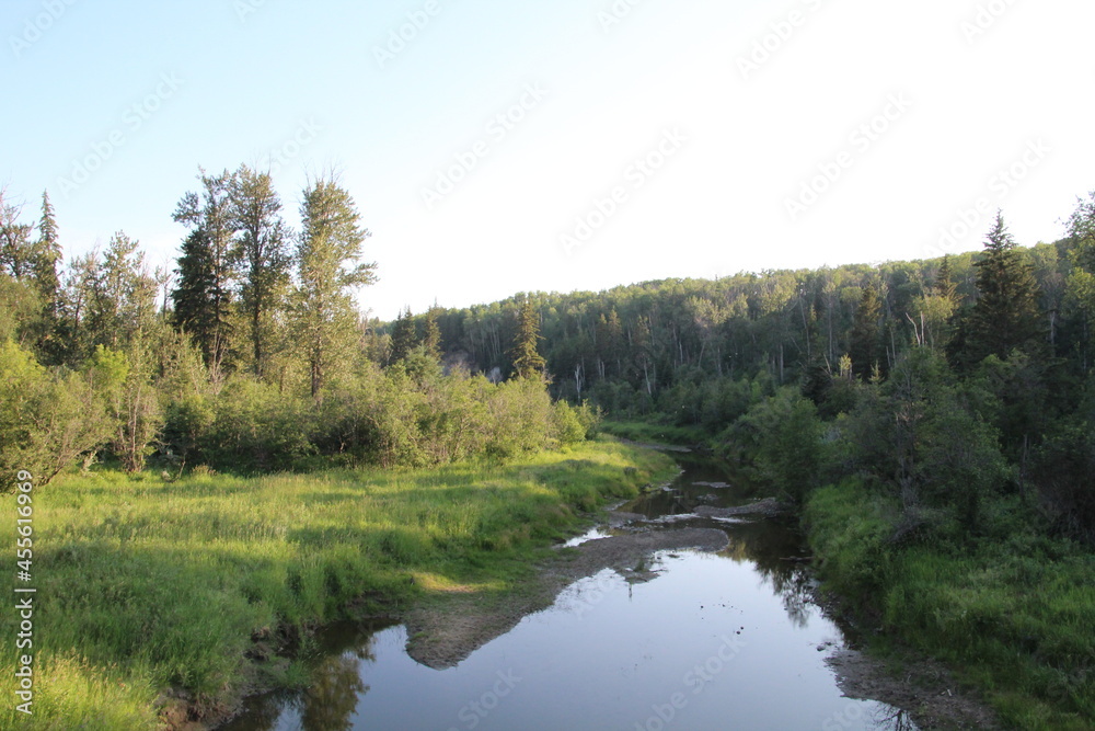 Shadows On The Land, Whitemud Park, Edmonton, Alberta Shadows On The Land, Whitemud Park, Edmonton, Alberta