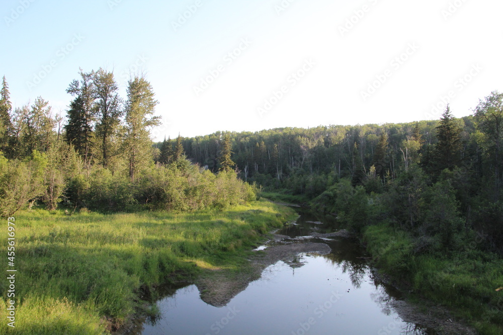 Warm Evening On The Land, Whitemud Park, Edmonton, Alberta Warm Evening On The Land, Whitemud Park, Edmonton, Alberta