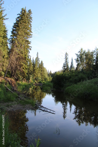 Fototapeta Naklejka Na Ścianę i Meble -  Evening Shadows On Creek, Whitemud Park, Edmonton, Alberta