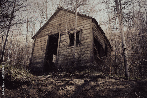 Принти на полотні Old abandoned cabin in the mountains