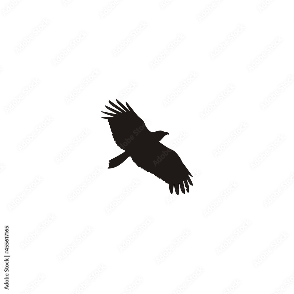 Fototapeta premium logo bird icon template vector design wings